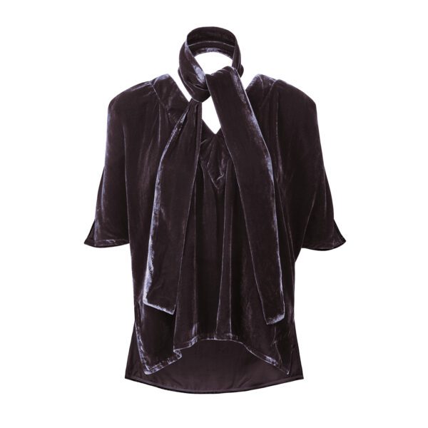 The silk velvet Top - Image 2